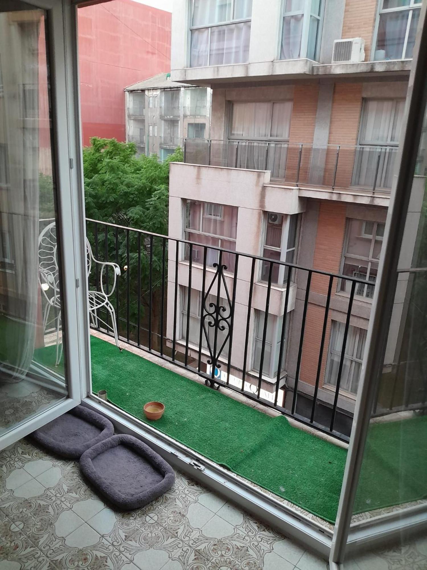 Gemuetliches Zimmer "Gold" Fuer 2 Personen Und Katzenliebhaber Valensiya Dış mekan fotoğraf